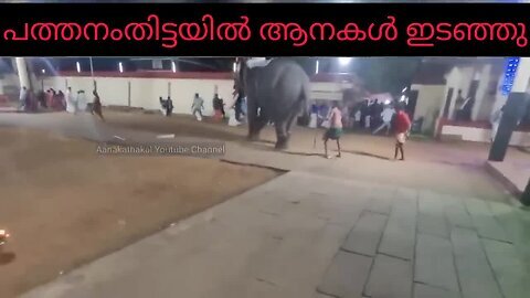 ദേവ്യേ.... ഓടിക്കോ...ആന വരുന്നുണ്ടേ _ koyilandi elephant attack _ Elephant attack kerala 2025
