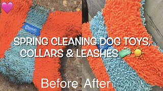 Wash & Play Great Fun Lasting Dog Toy