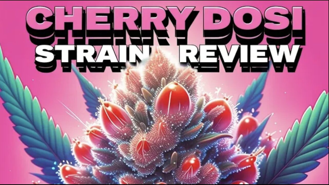 JK Distro Cherry Dosi : Sweet, Potent, and This Month's Top Pick