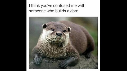 Hope you like net zero humans