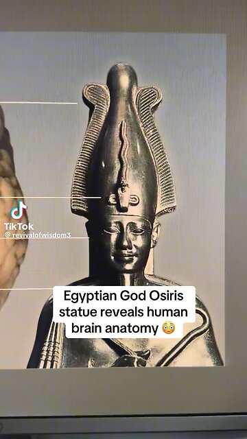 Egyptian God Osiris Statue Reveals Human Brain Anatomy