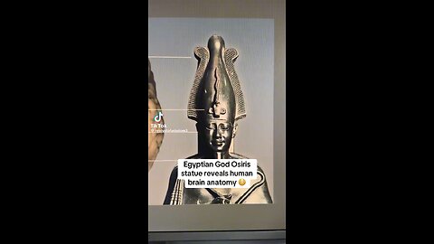 Egyptian God Osiris Statue Reveals Human Brain Anatomy
