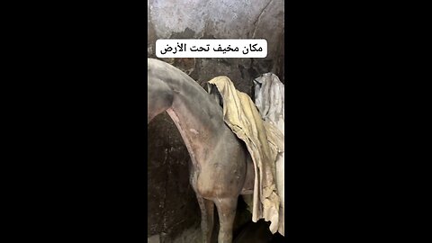 مكان مخيف تحت الارض