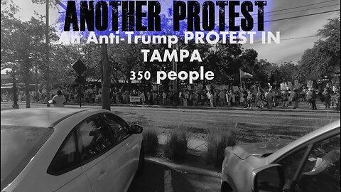 An Anti-Trump Protest - I guess?