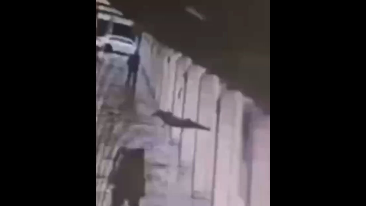 Palestinian Stabs and Kills Israeli Settler in Herzliya: Attack by Former Shin Bet Informant