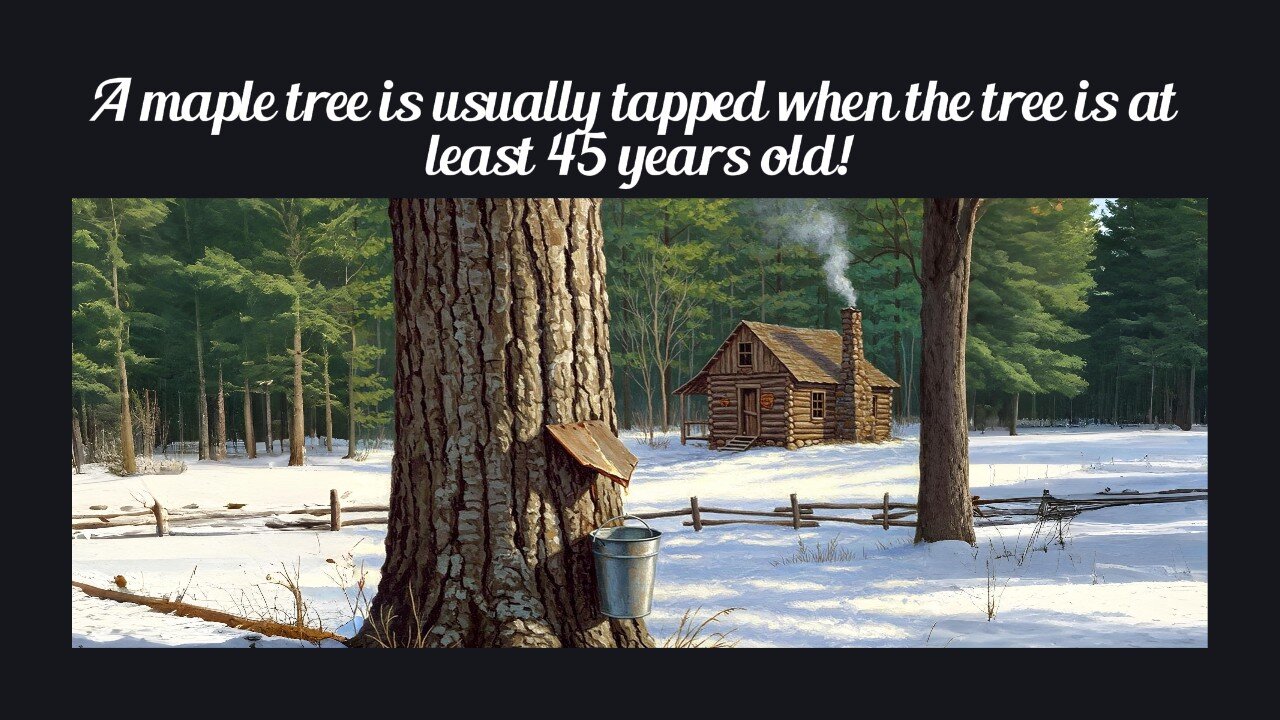 Fun Fact for Apr 17th 2025 Pt 2