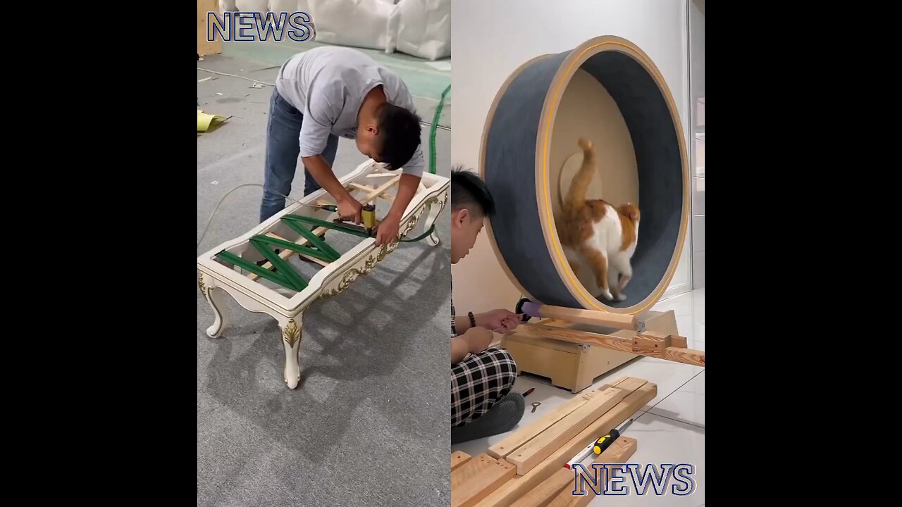 One person is making a seat. Meanwhile, a cat is helping another person.