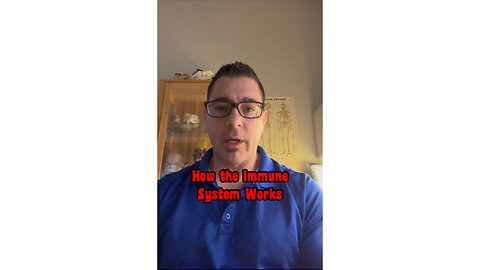 How the Immune System Works