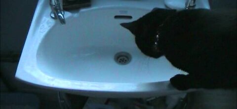Snowball play playing in the sink with water