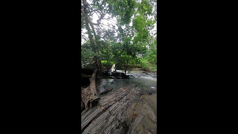 Finding treasure
