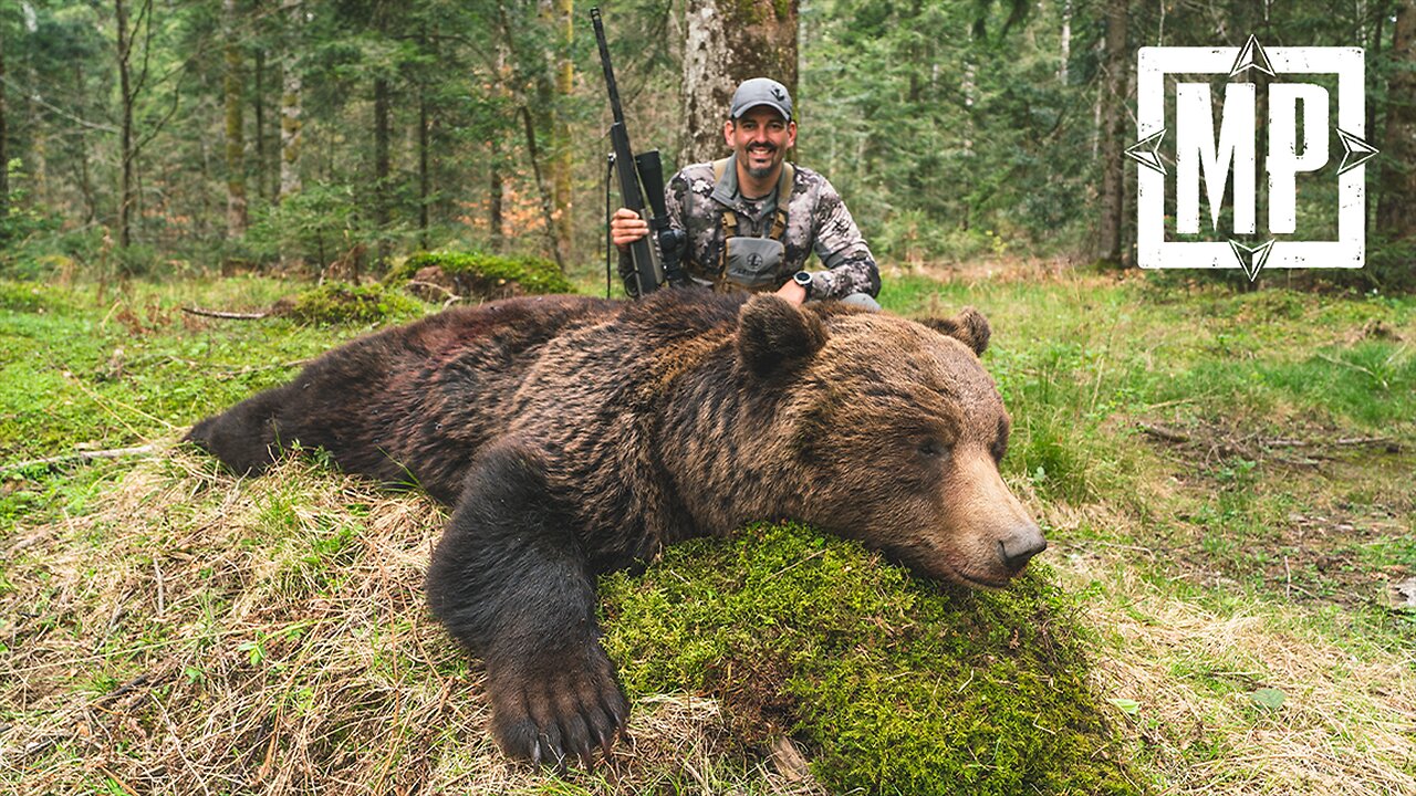 Hunting Giant Eurasian Brown Bear in Croatia | Mark V. Peterson Hunting