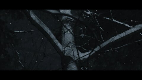 Crooked Souls - Harakiri (Official Lyric Video)