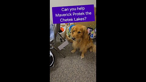 Can you help Maverick Protek the Chetek Lakes?