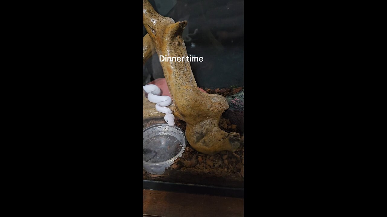 I'm hungry