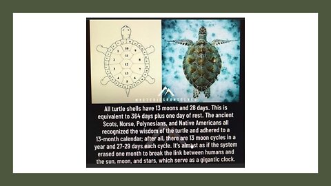 The USA INC aka VA Co of London & how they use TEMPORAL JURISDICTION against us vs LUNAR MOON