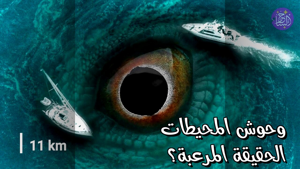 وحوش المحيطات: أسرار مرعبة أم خيال؟ ️