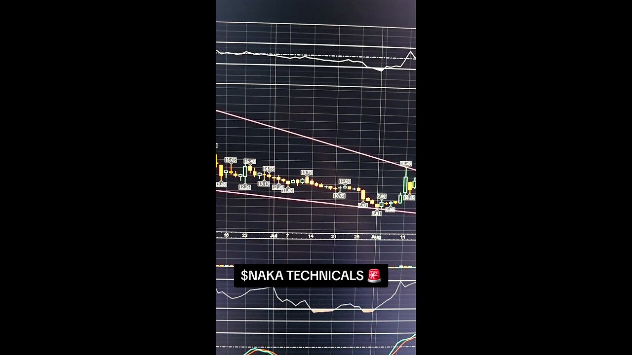 $NAKA TECHNICALS 🚨