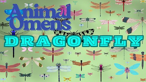 The Subliminal Messenger Show #132 Animal Omens: Dragonfly