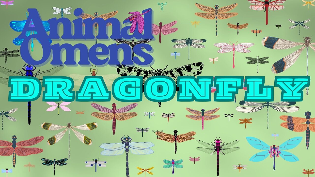 The Subliminal Messenger Show #132 Animal Omens: Dragonfly
