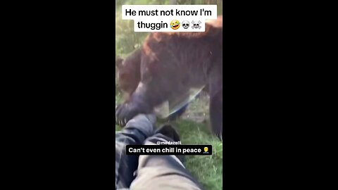 Funny animals episode #1