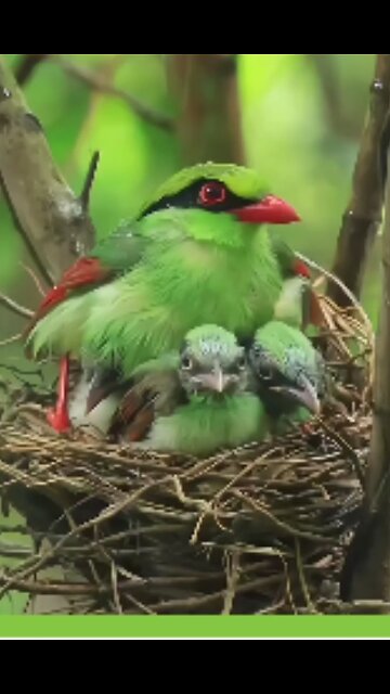 mother love truly great