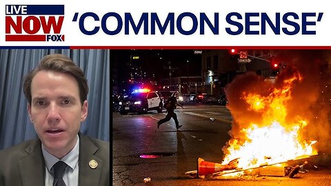 California GOP Lawmaker Condemns Violence During Anti-ICE Protests in Los Angeles