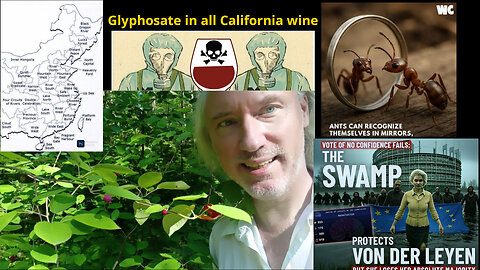 Roundup wine. Anti-addiction trick. Grok 4: Impressive, based, blocked. Geopolitics. Vanity ants