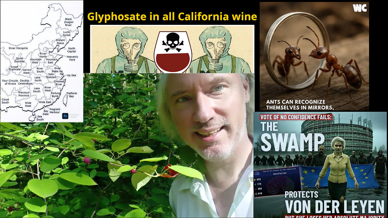 Roundup wine. Anti-addiction trick. Grok 4: Impressive, based, blocked. Geopolitics. Vanity ants