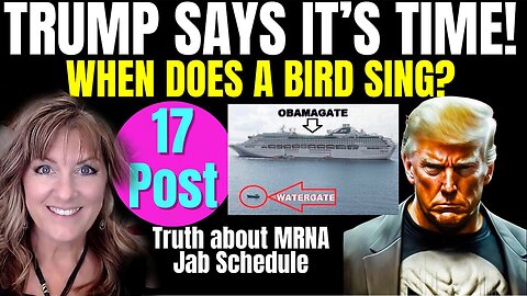 Melissa Redpill Update July 23: "Trump - It's Time! Bird Sing?! Urgent Message By Melissa Redpill"