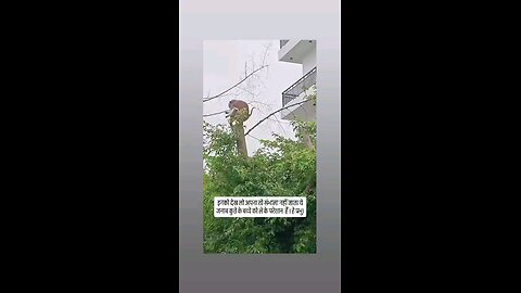 ये कहा से उठा लाया