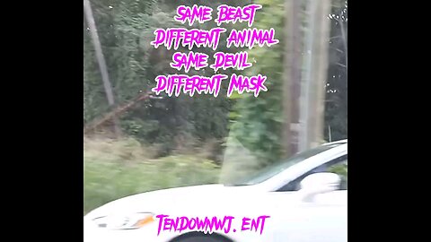 TenDown WJ Ent
