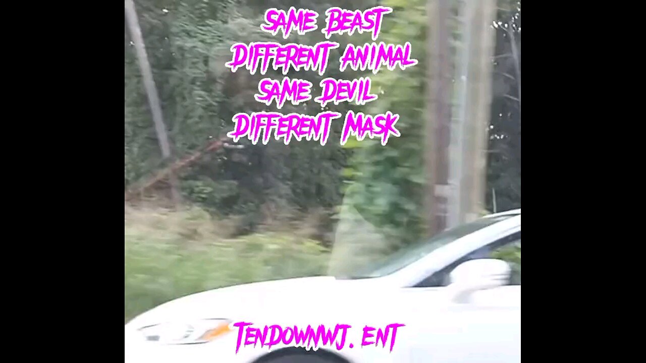 TenDown WJ Ent