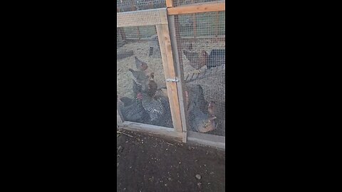 alaska 5.6 earthquake 10-30-2025!