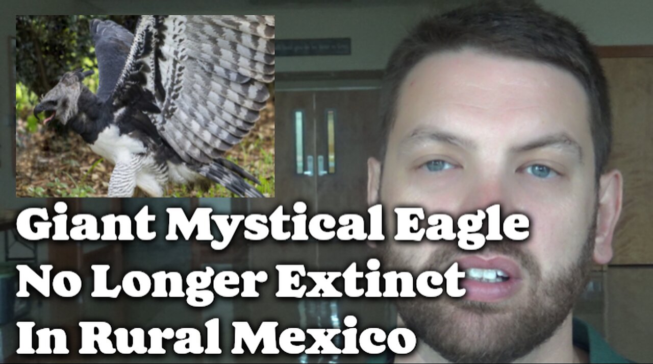 Giant Mystical Eagle No Longer Extinct In Mexico