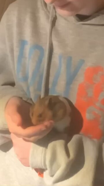 Me and my hamster bonding