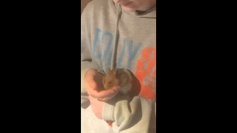 Me and my hamster bonding