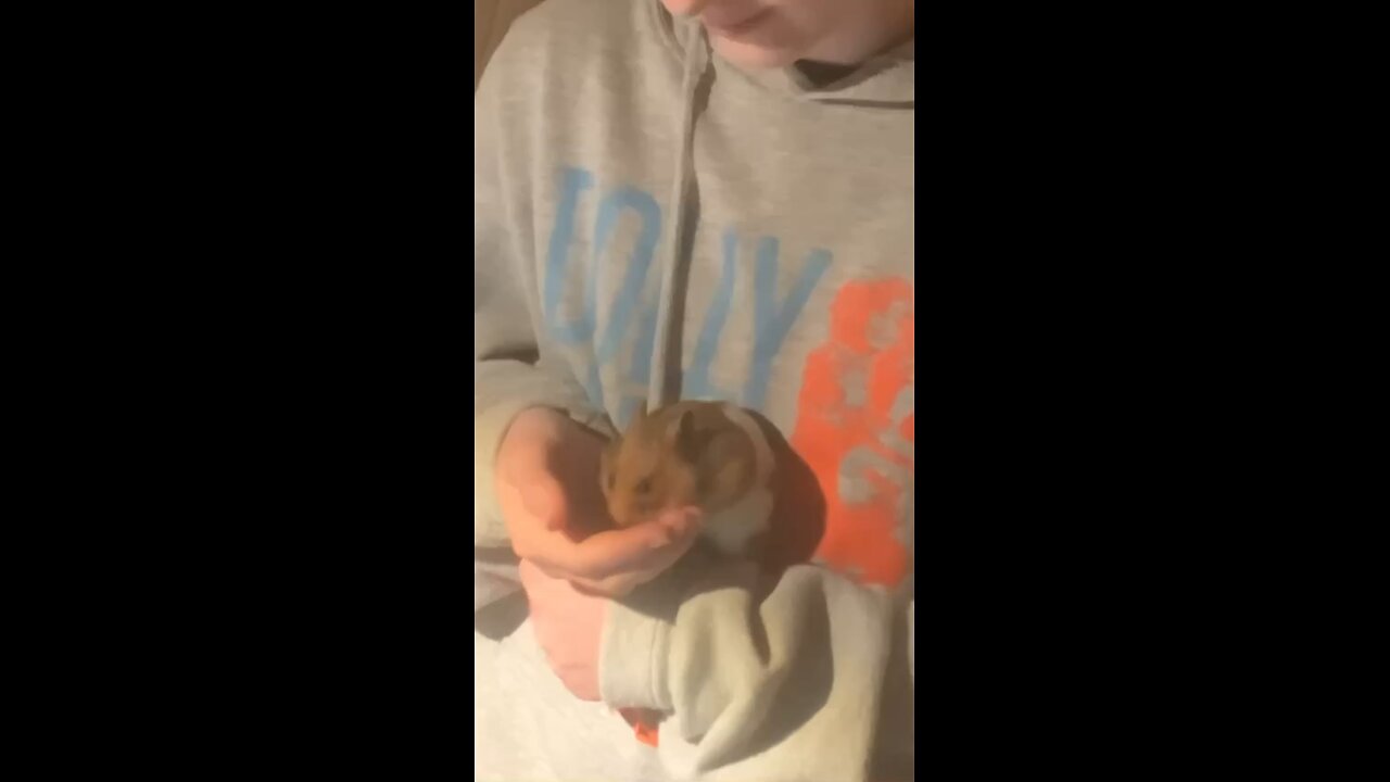 Me and my hamster bonding