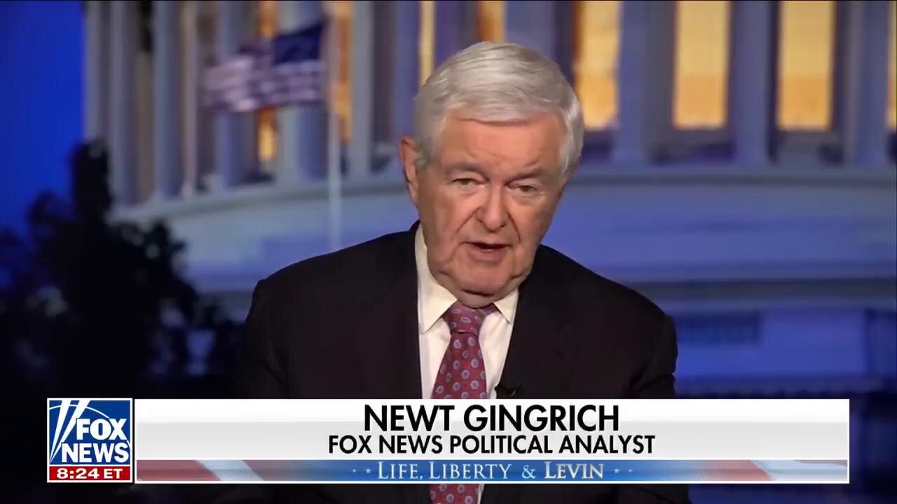 Newt Gingrich: Every one of Joe Biden's cabinet members 'failed their constitutional duties'