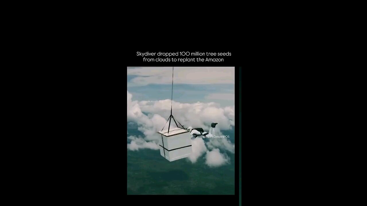 Watch this