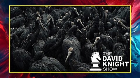 "Exploring Newsom 'Emergency', 'Bird Flu' Findings: A Digital PCR Perspective"