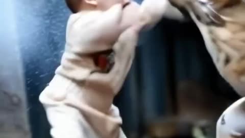 _baby _cat _catfight _kids _ai _aivideo _trend _trending _aitrend _babyfight _trendreels(MP4)