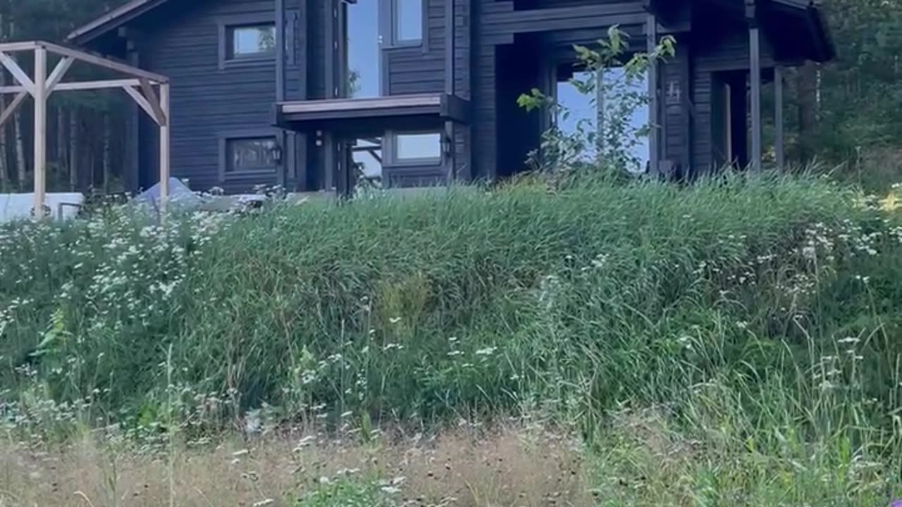 Color Of The House