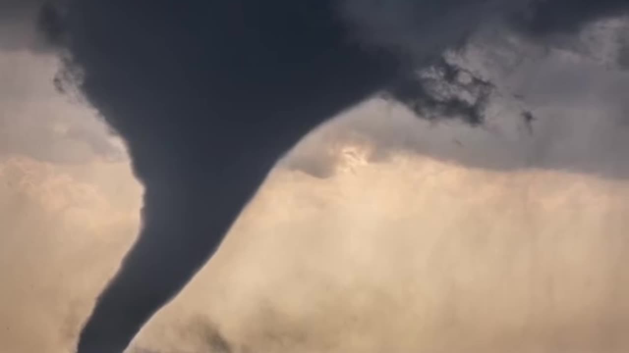 Things That Are Way Bigger Than You Think!