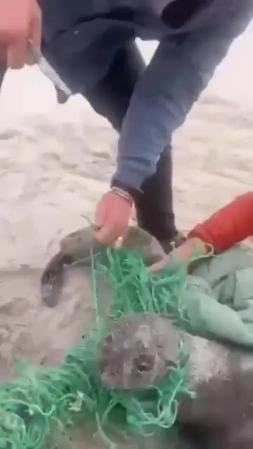 He waited for his buddy.. 🥺