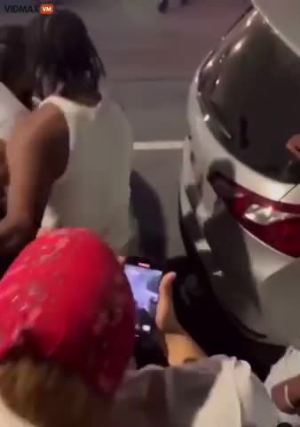 NIGGER NEIGHBORHOODS BACK TO AFRICA PART 2