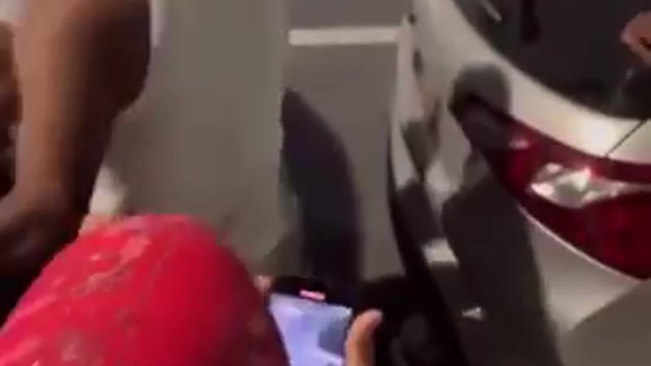 NIGGER NEIGHBORHOODS BACK TO AFRICA PART 2