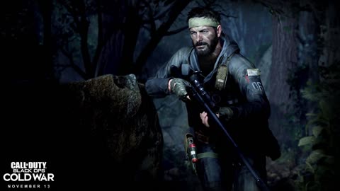 Call of Duty: Black Ops Cold War – Redlight, Greenlight | Stealth Kills (Realism / No Damage)