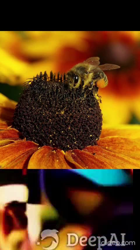 cibercops tomoko o voo da vassoura musica.mp4