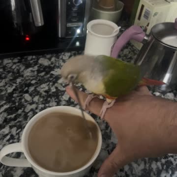 Future coffee shop barista 🤣