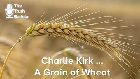 Charlie Kirk … A Grain of Wheat